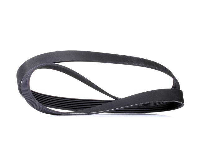 Achetez des Courroie Poly-V RIDEX 305P0485 à prix pour 15,01 €