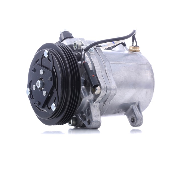 Osta Ilmastoinnin kompressori RIDEX:llä 447K0532 edullisesti hintaan 335,82 €