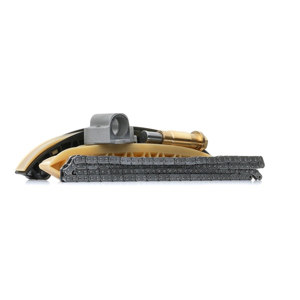 Steuerkettensatz 1389T2509 von RIDEX günstig für 171,30 € online kaufen