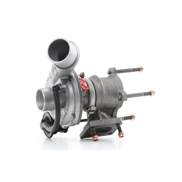Compre Turbocompressor da RIDEX REMAN 2234C10173R a um preço baixo por 370,49 €