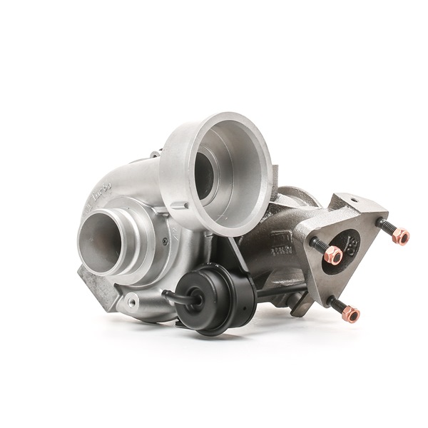 Turbolader 2234C0424R