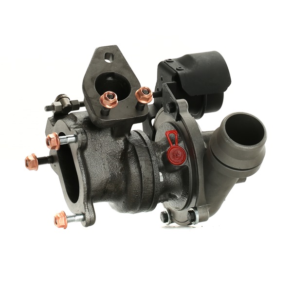 Turbolader von RIDEX REMAN 2234C10363R