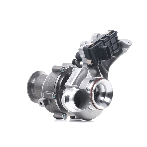 Turbolader 2234C10389 von RIDEX günstig für 589,97 € online kaufen