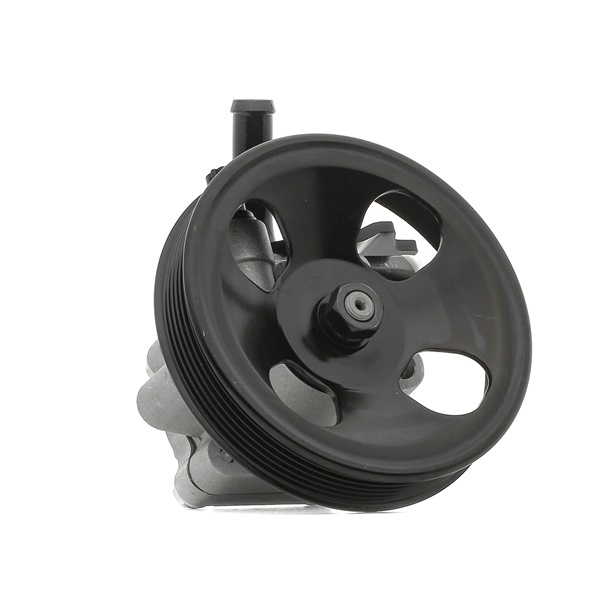 Osta Ohjaustehostimen pumppu RIDEX:llä 12H0273 edullisesti hintaan 120,55 €