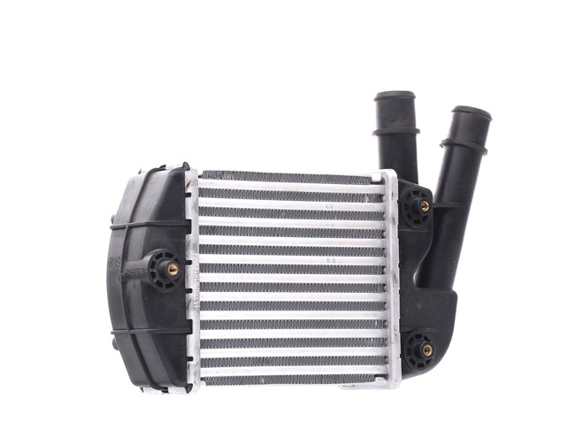 Achetez des Intercooler RIDEX 468I0260 à prix pour 89,89 €