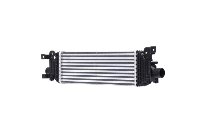 Köp Intercooler av RIDEX 468I0301 till det låga priset 1006,07 kr