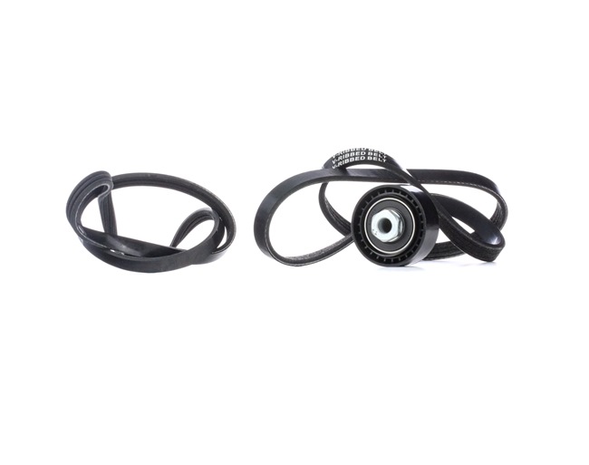 Achetez des Jeu de courroies trapézoïdales à nervures RIDEX 542R0583 à prix pour 47,34 €