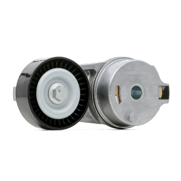 Achetez des RIDEX Poulie, tendeur de courroie d'accessoire Art.: 310T0405 en ligne