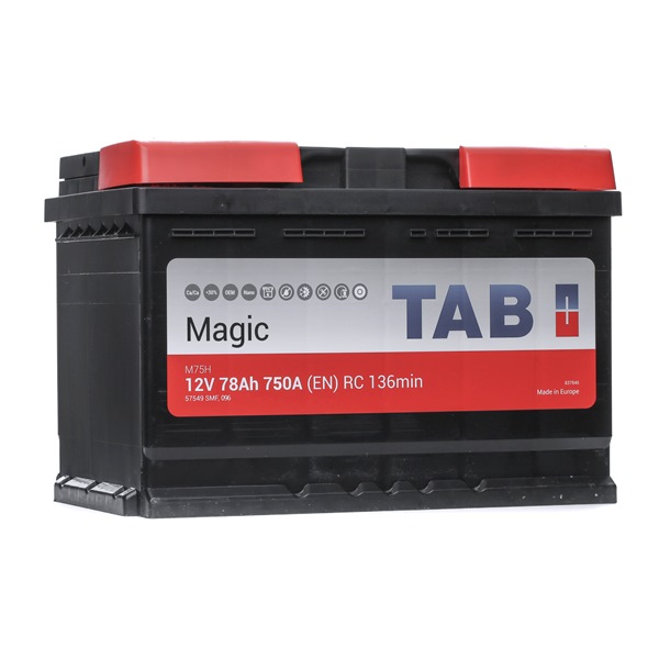 Batterie für ALPINA von TAB