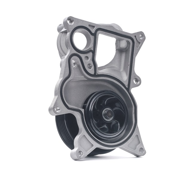 Osta Vesipumppu RIDEX:llä 1260W0456 edullisesti hintaan 61,35 €
