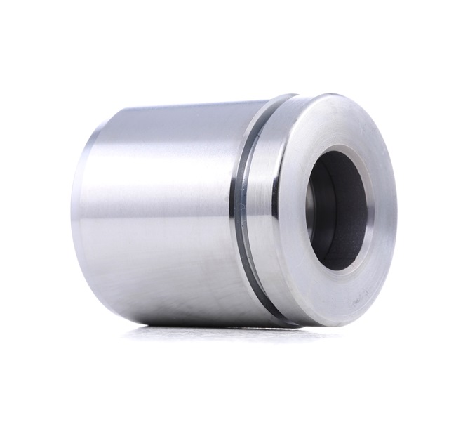 Comprar Émbolo, pinza del freno de RIDEX 2248P0051 a bajo precio de 17,50 €