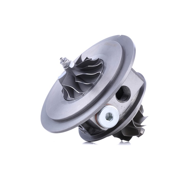 Rumpfgruppe, Lader 4973C0098