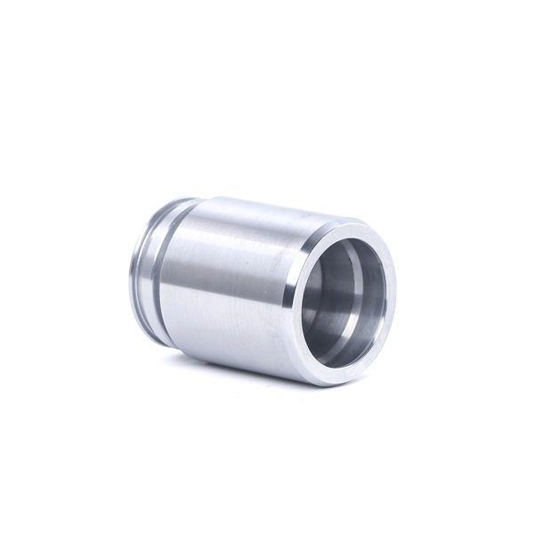 Acquista Pistoncino pinza freno da RIDEX 2248P0055 a buon mercato per soli 6,28 €