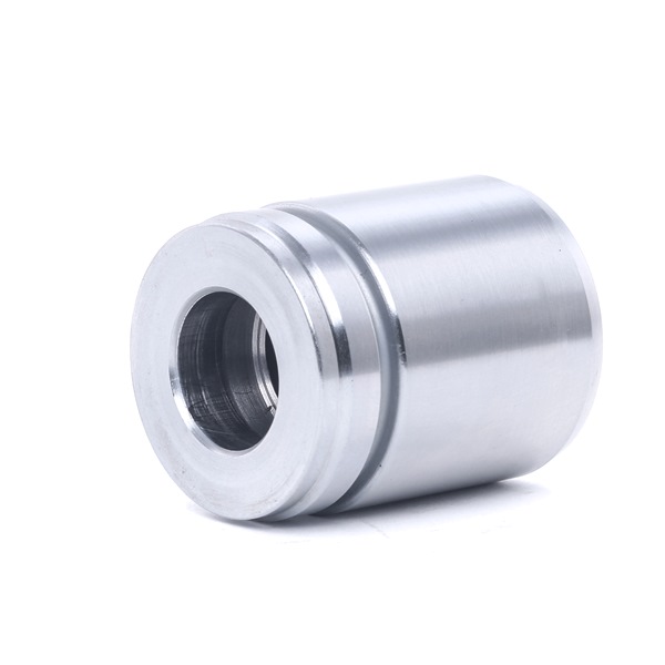 Comprar Émbolo, pinza del freno de RIDEX 2248P0058 a bajo precio de 15,49 €