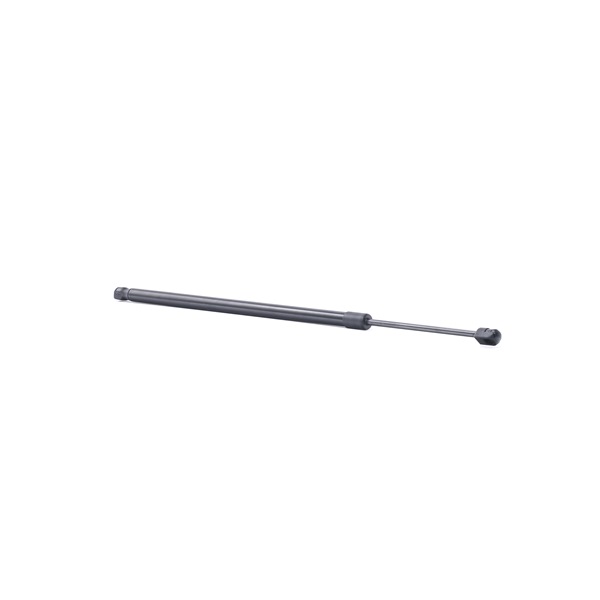 Heckklappendämpfer 219G0980