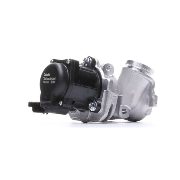 Acquista Valvola EGR da DELPHI EG10507-12B1 a buon mercato per soli 99,48 €