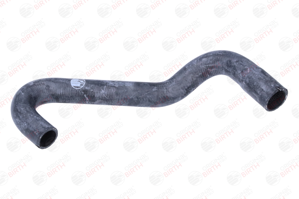 Acquista Manicotto radiatore da BIRTH online per Cinquecento Van / Hatchback (170) a prezzi moderati