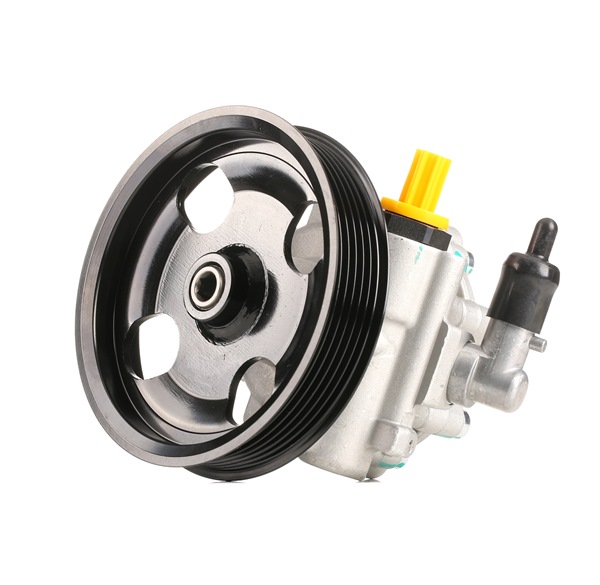 Osta Ohjaustehostimen pumppu STARK:llä SKHP-0540287 edullisesti hintaan 346,99 €