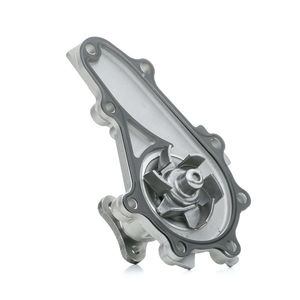Osta Vesipumppu RIDEX:llä 1260W0467 edullisesti hintaan 119,04 €