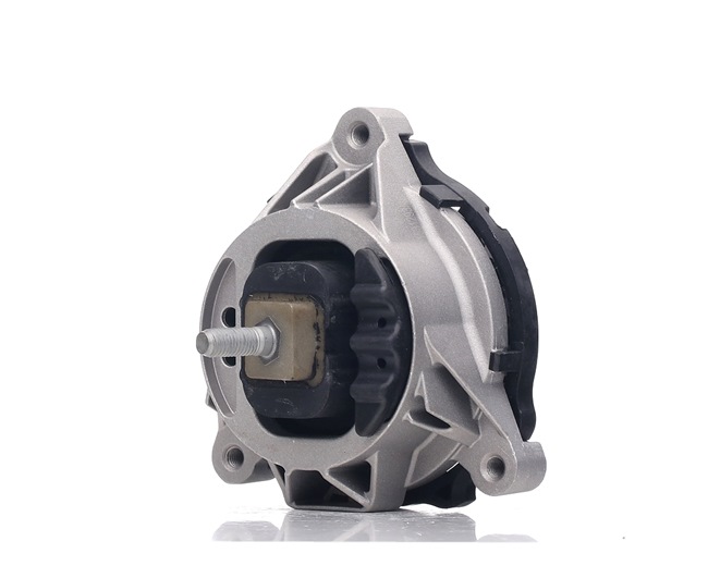 Acquista Supporto motore da RIDEX online per 3 Touring (F31) a prezzi moderati