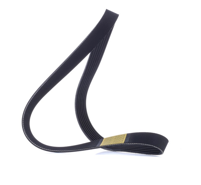 Acquista online RIDEX Cinghia servizi Art.: 305P0489