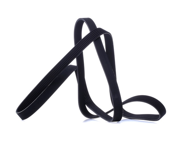 Achetez des Courroie Poly-V RIDEX 305P0490 à prix pour 16,75 €