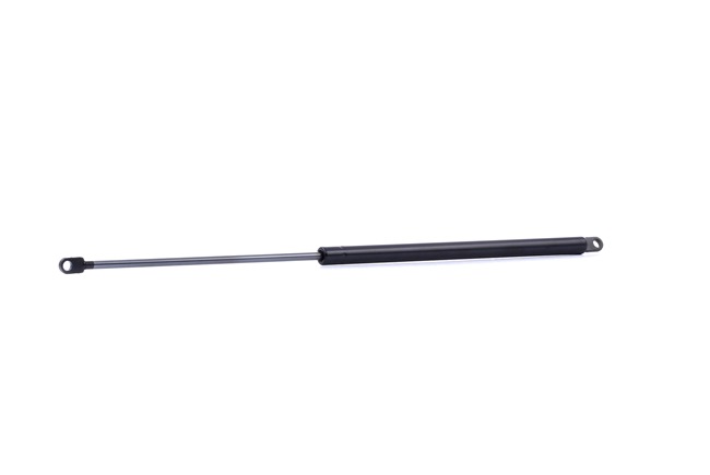 Compre Amortecedor da mala da RIDEX 219G0985 a um preço baixo por 17,20 €
