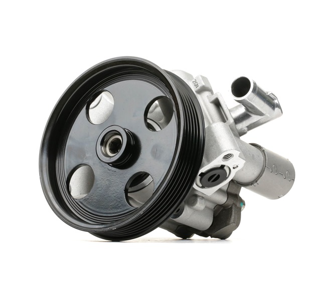 Servopumpe 12H0293