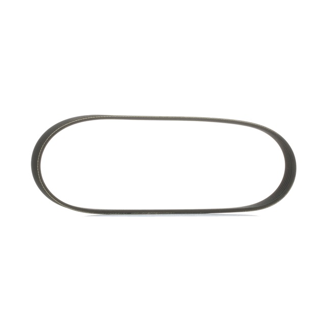 Achetez des Courroie Poly-V RIDEX 305P0495 à prix pour 8,97 €
