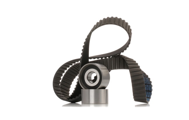 Achetez des Kit de distribution RIDEX 307T0391 à prix pour 67,91 €