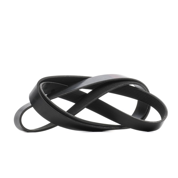 Achetez des Courroie Poly-V RIDEX 305P0497 à prix pour 22,33 €