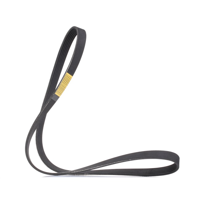 Achetez des Courroie Poly-V RIDEX 305P0501 à prix pour 10,72 €