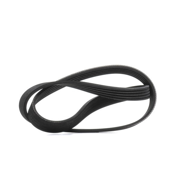 Acquista Cinghia servizi da RIDEX 305P0503 a buon mercato per soli 7,72 €