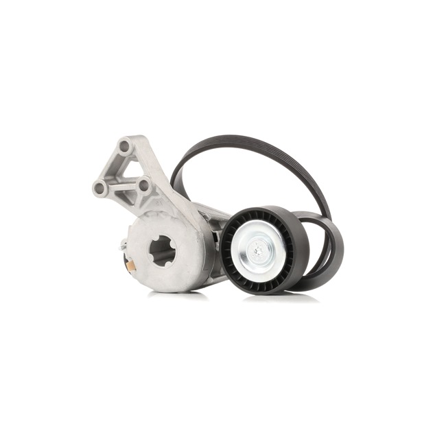 Acquista Kit Cinghie Poly-V da STARK SKRBS-1200648 a buon mercato per soli 54,53 €