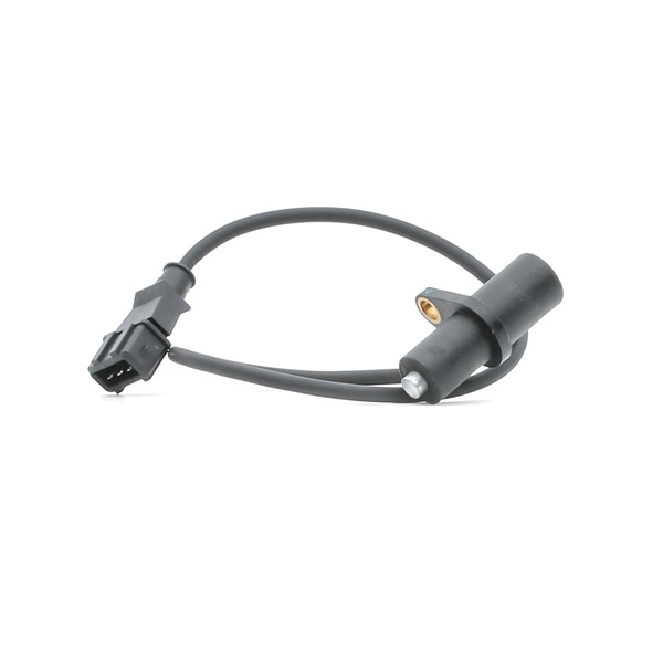 Nockenwellensensor 3946S0196