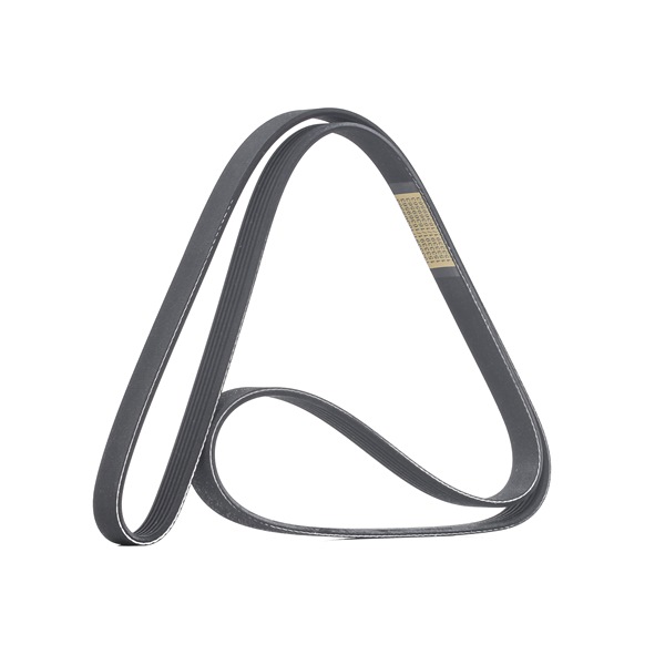 Compre Correia trapezoidal estriada da RIDEX 305P0506 a um preço baixo por 12,97 €