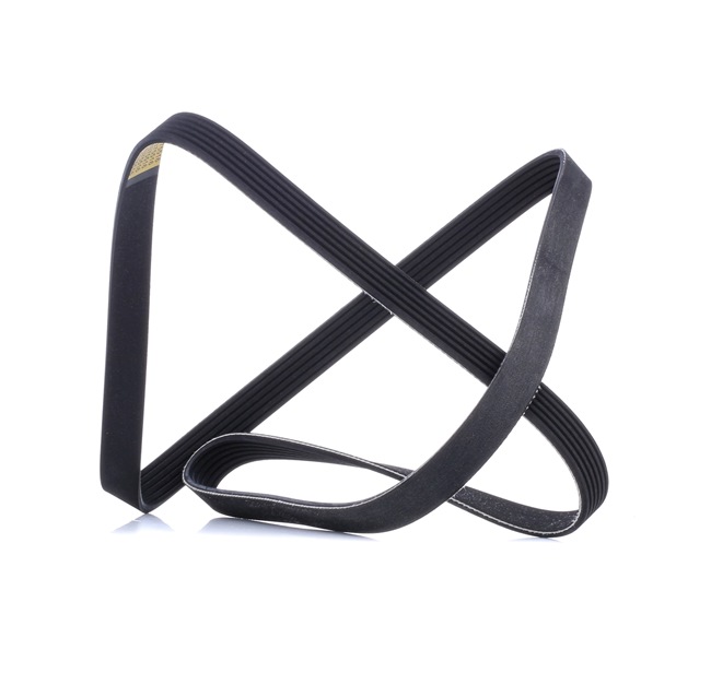 Achetez des Courroie Poly-V RIDEX 305P0508 à prix pour 15,86 €