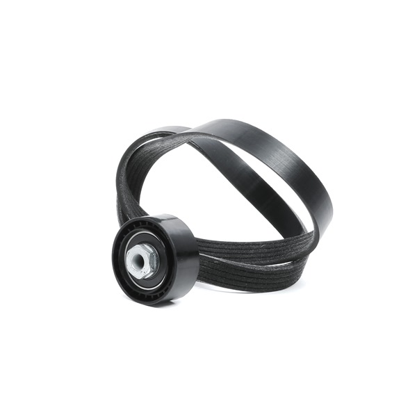 Keilrippenriemensatz 542R0659 RENAULT TWINGO von RIDEX