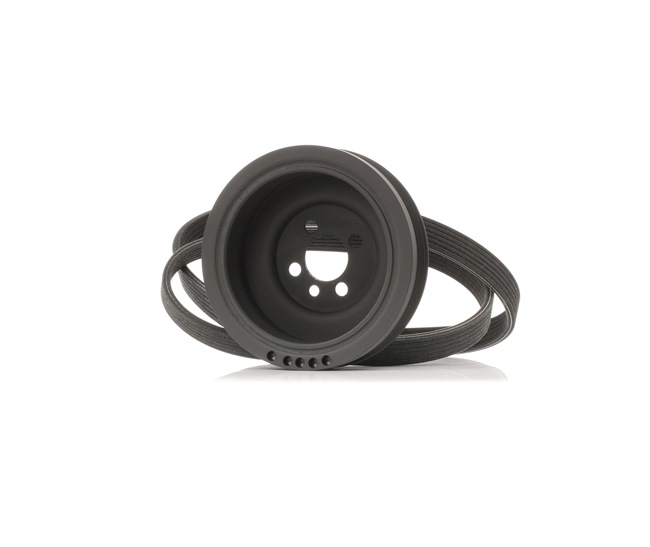 Achetez des Jeu de courroies trapézoïdales à nervures RIDEX 542R0661 à prix pour 68,80 €