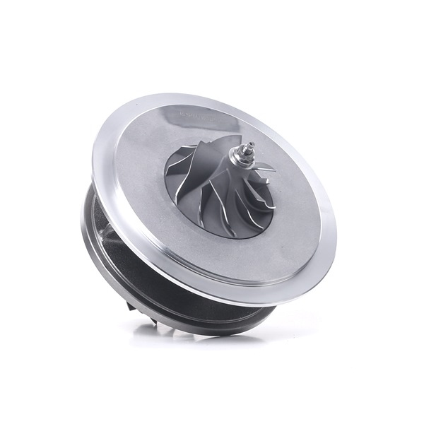 Rumpfgruppe, Lader 4973C0117 von RIDEX günstig für 211,75 € online kaufen