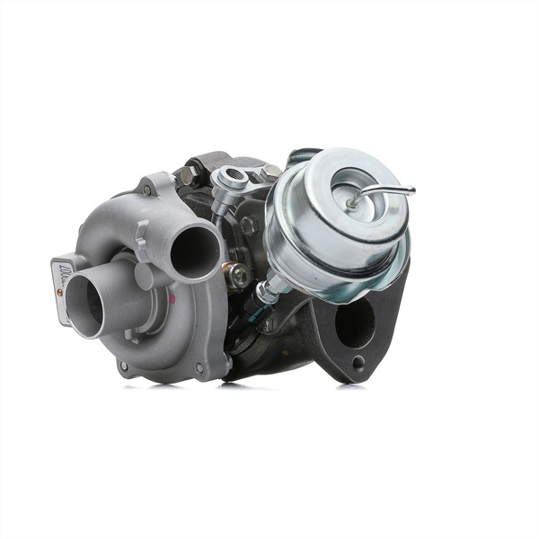 Compre Turbocompressor da RIDEX 2234C10556 a um preço baixo por 731,64 €