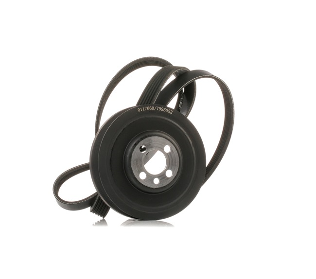 Compre Kit de correa de alternador de STARK online para Octavia I Furgón / Familiar (1U5) a precios moderados