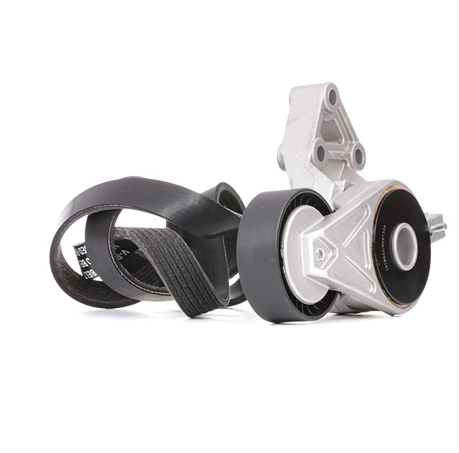 Compre Kit de correa de alternador de RIDEX online para Fabia I Combi (6Y5) a precios moderados