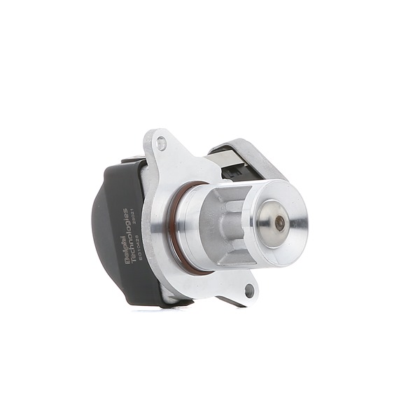 Comprar Válvula EGR de DELPHI EG10428-12B1 a bajo precio de 216,96 €
