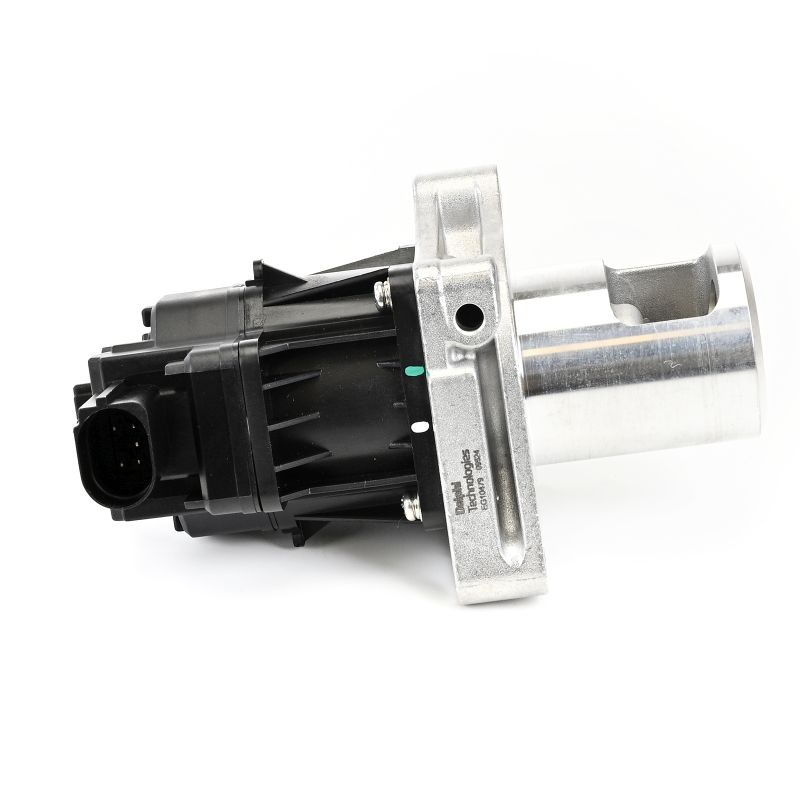 Comprar Válvula EGR de DELPHI EG10479-12B1 a bajo precio de 172,45 €