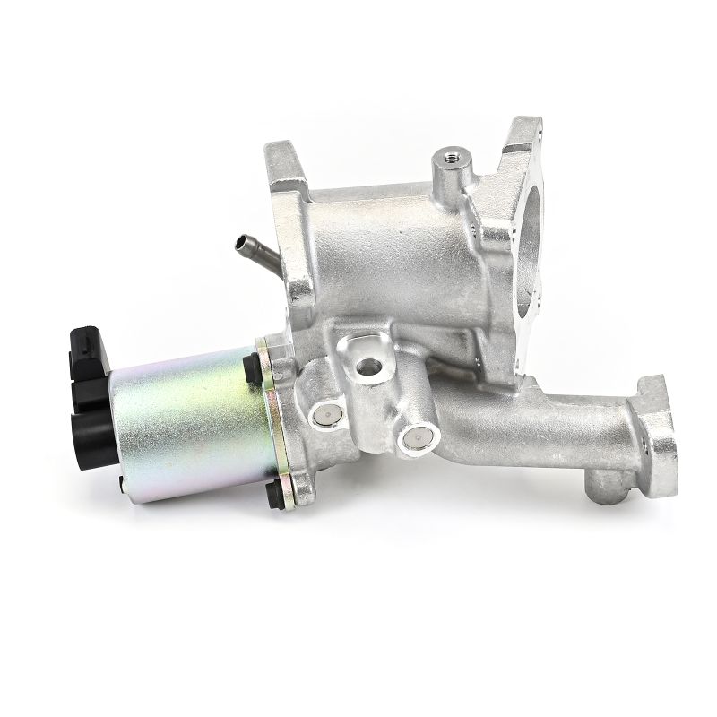 Acquista Valvola EGR da DELPHI EG10497-12B1 a buon mercato per soli 181,83 €