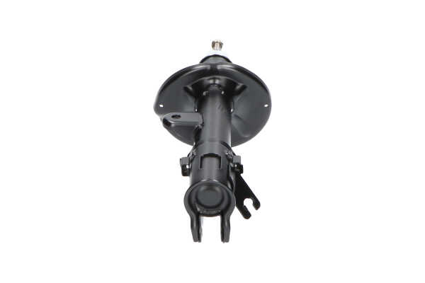 Original KAVO PARTS Stoßdämpfer online kaufen