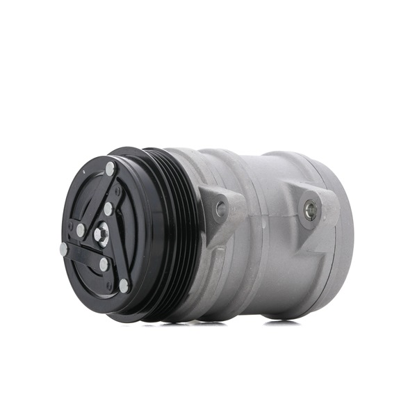 Osta Ilmastoinnin kompressori RIDEX:llä 447K0603 edullisesti hintaan 121,51 €