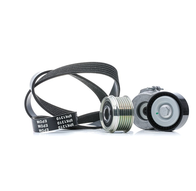 Achetez des Jeu de courroies trapézoïdales à nervures RIDEX 542R0669 à prix pour 71,50 €
