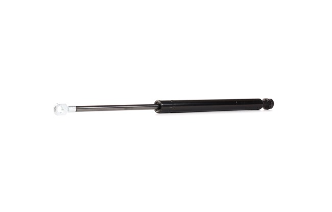 Compre Amortecedor da mala da RIDEX 219G1011 a um preço baixo por 10,97 €